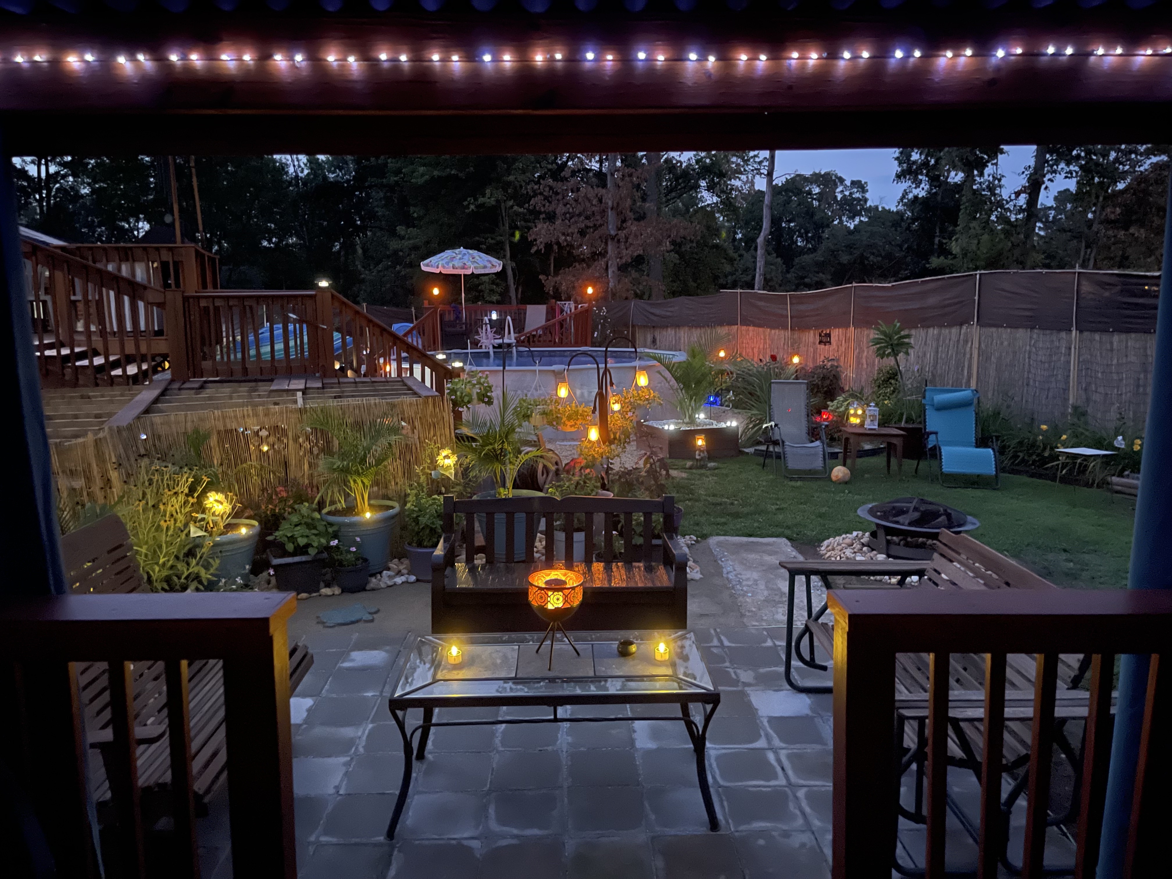 From City Girl to Garden Goddess: My Backyard Transformation Adventures