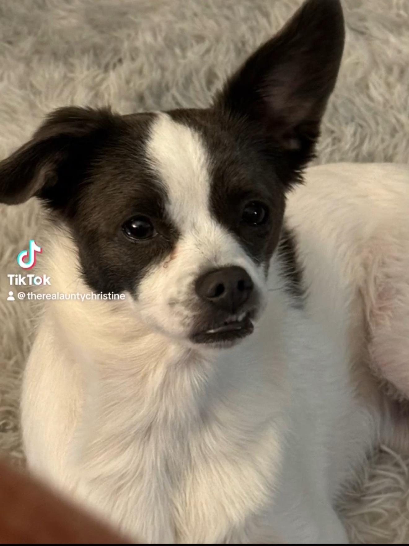 Starting Over at 47 – How Jenny Is Helping Me Take Back My Life