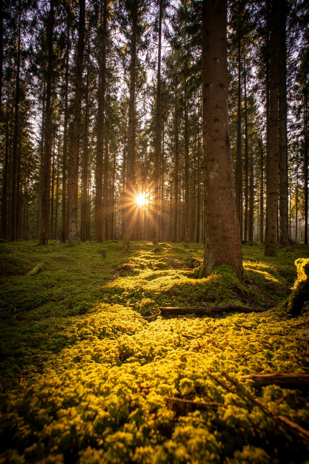 Slow and Steady Healing: Real Talk About Mental&nbsp;Health