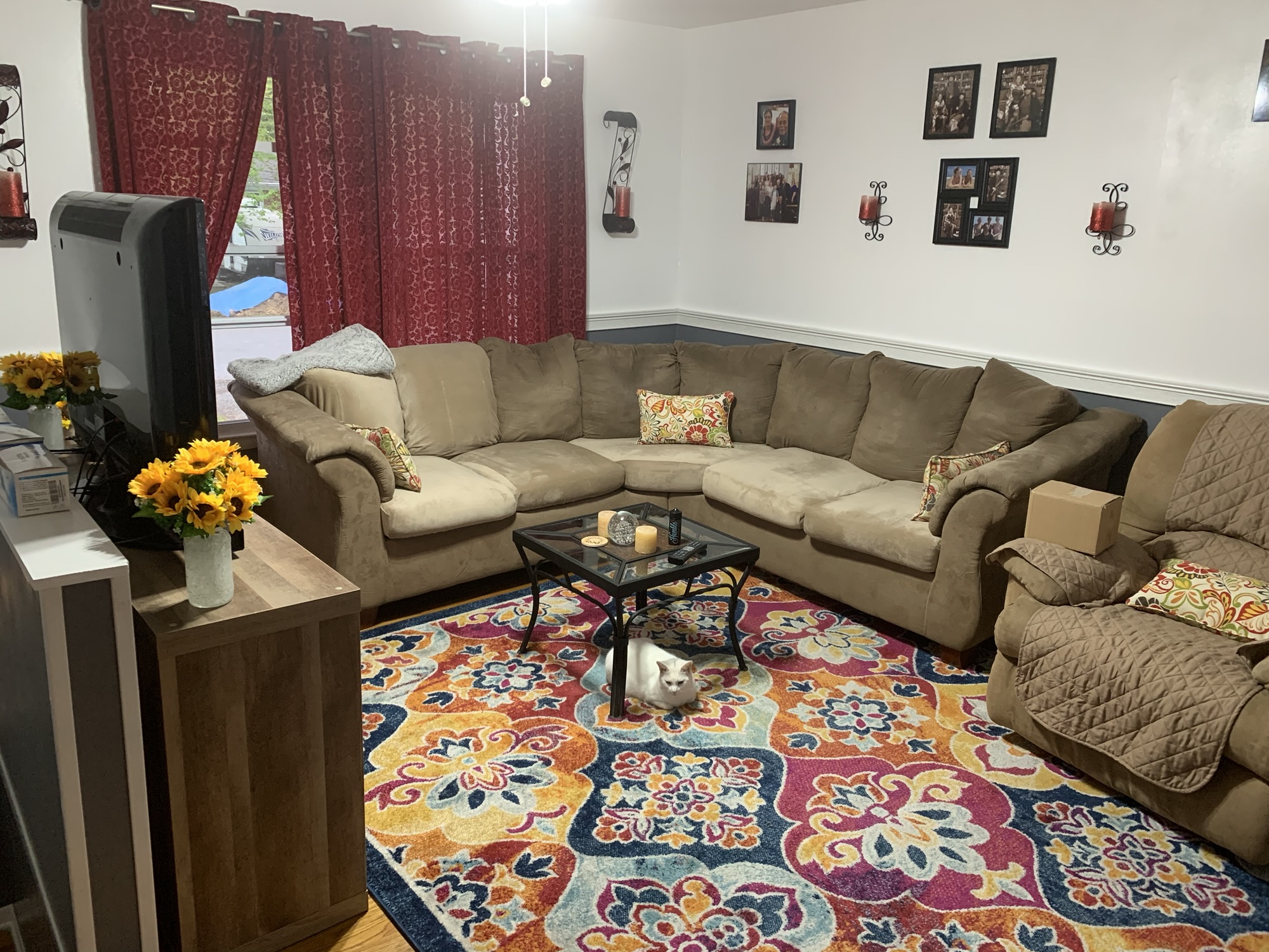 Dopamine Decor: Designing Spaces That Spark Joy (and Keep Me Sane)